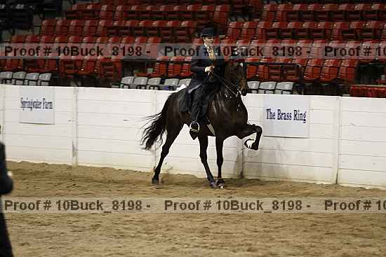 Proof 10buck_8198