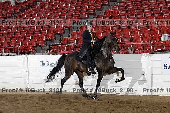 Proof 10buck_8199