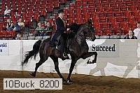 10buck_8200 proof