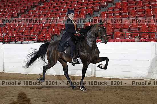 Proof 10buck_8201