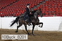 10buck_8201 proof