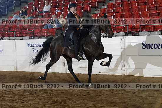 Proof 10buck_8202