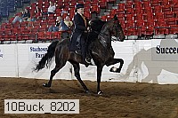 10buck_8202 proof