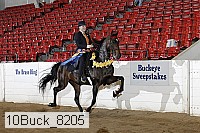 10buck_8205 proof