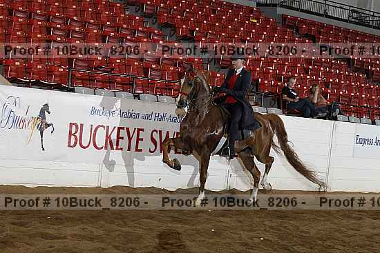 Proof 10buck_8206