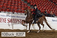 10buck_8207 proof
