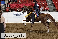 10buck_8213 proof