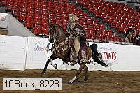 10buck_8228 proof