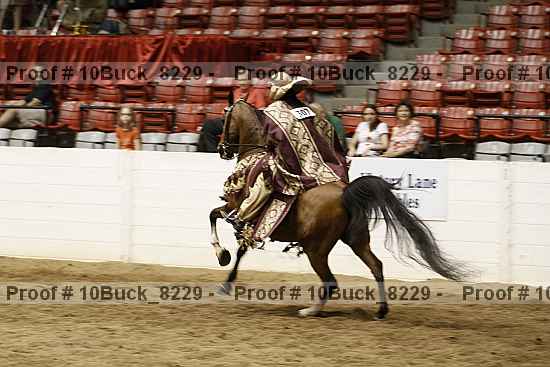 Proof 10buck_8229