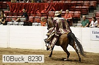 10buck_8230 proof