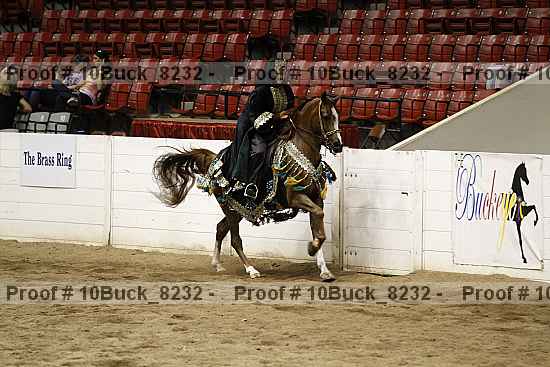 Proof 10buck_8232