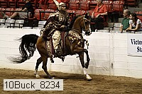 10buck_8234 proof