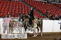 10buck_8237 proof