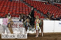 10buck_8238 proof