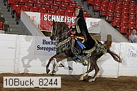 10buck_8244 proof