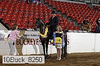 10buck_8250 proof