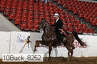 10buck_8252 proof