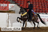 10buck_8254 proof