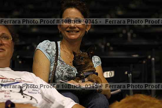 Proof 10buck_0345
