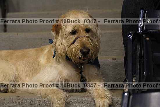 Proof 10buck_0347