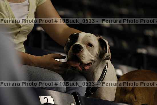 Proof 10buck_0533