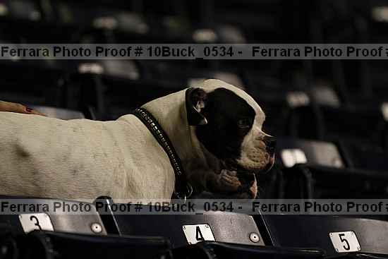 Proof 10buck_0534