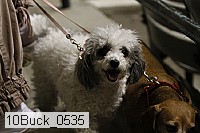 10buck_0535 proof