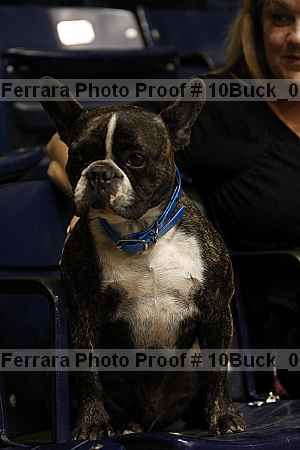 Proof 10buck_0956