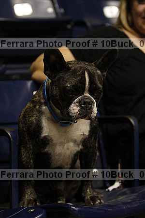 Proof 10buck_0957