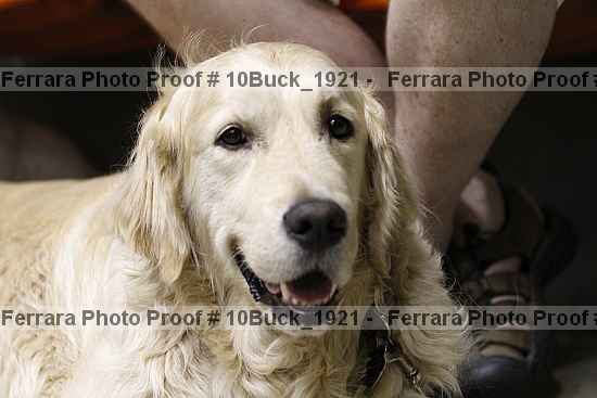 Proof 10buck_1921