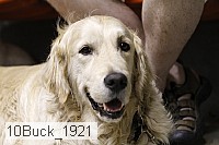 10buck_1921 proof