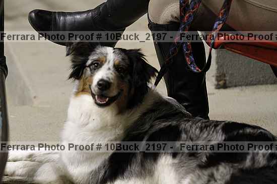 Proof 10buck_2197