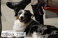10buck_2197 proof