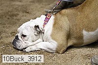 10buck_3912 proof