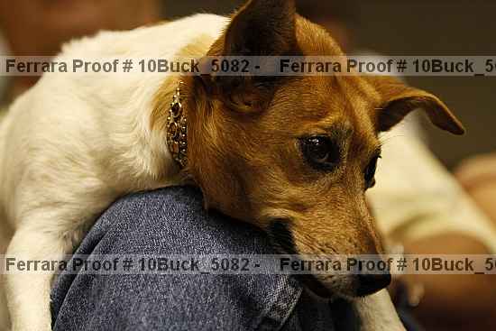 Proof 10buck_5082