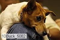 10buck_5082 proof