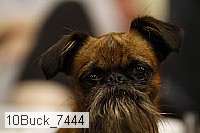 10buck_7444 proof