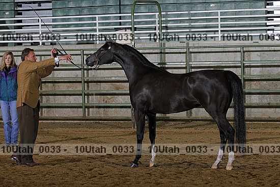 Proof 10utah_0033