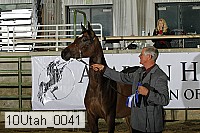 10utah_0041 proof