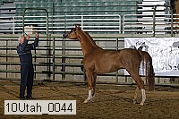 10utah_0044 proof