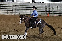 10utah_0610 proof
