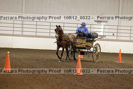 Proof 10r12_0022
