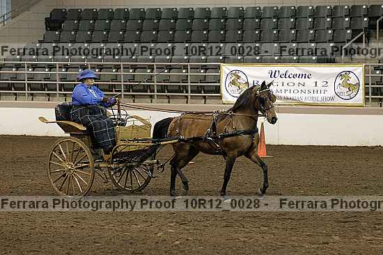 Proof 10r12_0028