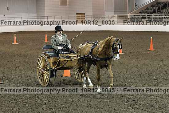 Proof 10r12_0035