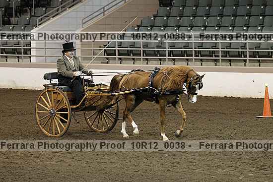 Proof 10r12_0038