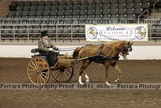 Proof 10r12_0039