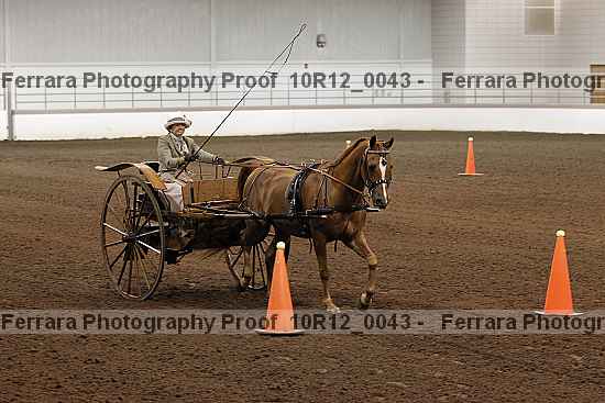 Proof 10r12_0043