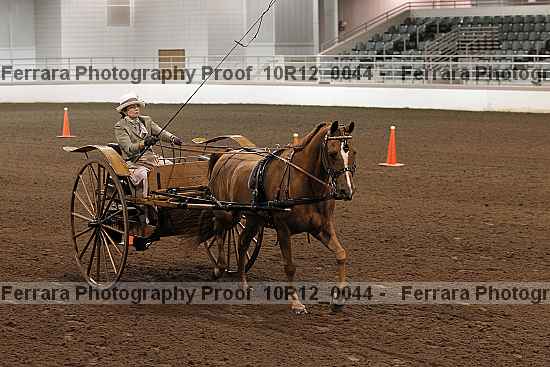 Proof 10r12_0044