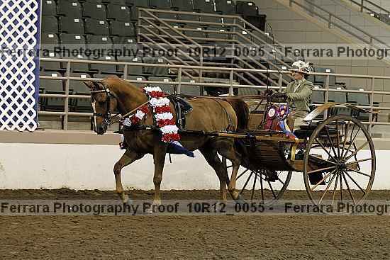 Proof 10r12_0055