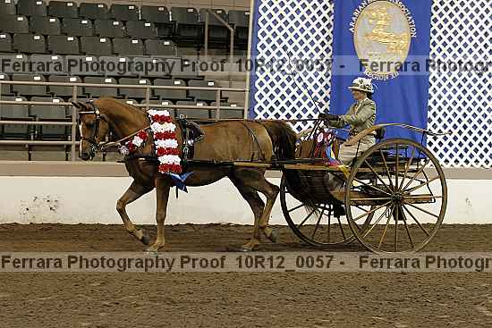 Proof 10r12_0057
